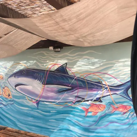 Backpackers Albergue