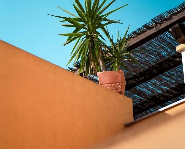 Hostel Backpackers Ζαντάρ