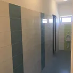 Backpackers Hostel *